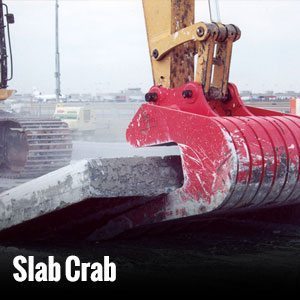 Slab Crab